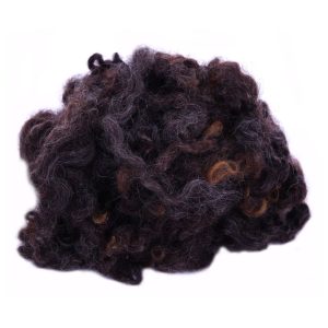 Leicester Longwool bruin