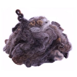 Leicester Longwool coloured